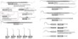 dental2